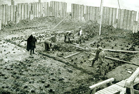 Ausgrabungsfläche Ost mit den zur Grabung freigelegten Pfahlköpfen