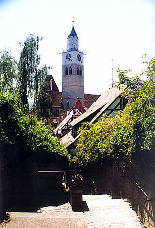 Blick vom Garten des Reichlin-Meldeggschen Hauses zum Münster