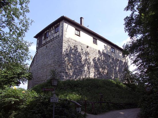 Wscherschloss: Ansicht von Nordwesten auf Schildmauer und Palas 