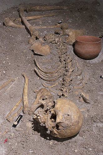 steinzeitliches Skelett