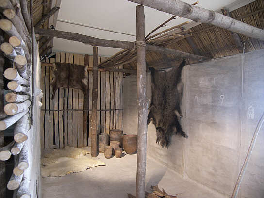 Nachbau einer steinzeitlichen Hütte. © Archäologisches Museum 