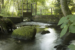 Der Stille Bach in Weingarten, einst von Mönchen angelegt, ist ein ideals Ziel für einen Ausflug in die Natur.