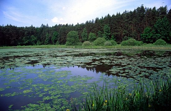 Naturschutzgebiet Breitweiher mit Hilsenweiher, Ostalbkreis