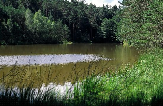 Naturschutzgebiet Breitweiher mit Hilsenweiher, Ostalbkreis