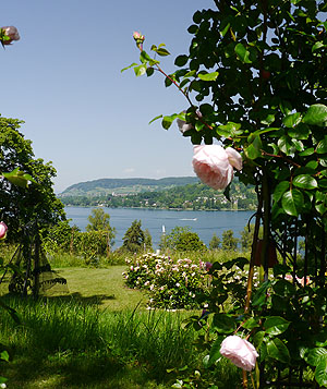 Privatgarten Kohler in Mammern mit Blick auf den See. Bild: Garten-Kohler
