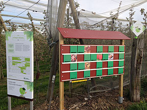 Auf dem familienfreundlichen Altnauer Apfelweg können sich kleine Apfelfans an über 20 Stationen bei Rätseln und Mitmachspielen probieren.