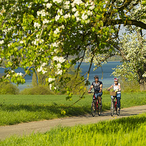Herrliche Radwege führen ufernah durch Obstbaumwiesen. Bildnachweis: REGIO Konstanz-Bodensee-Hegau e.V., Fotostudio Kasper