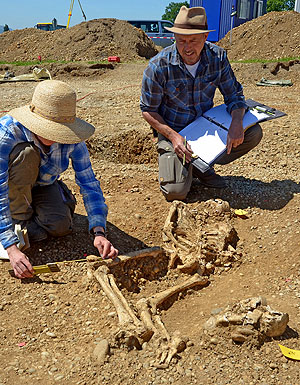 Fiona Vernon und Kreisarchäologe Dr. Jürgen Hald beim Dokumentieren des Skeletts eines auf dem Bauch liegenden Individuums, dessen Hände vermutlich auf dem Rücken gefesselt waren.