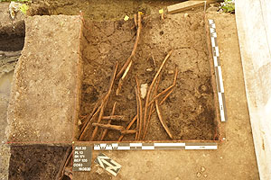 In einer oberen Lage hat sich eine Zaunstruktur aus dem 16./17. Jhd. n. Chr. erhalten.
