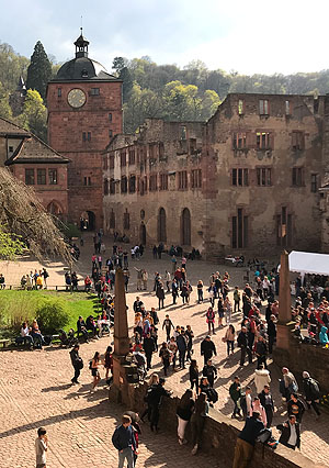 Regelmäßig kommen viele Besucher zum Frühlingserwachen ins Schloss Heidelberg. Foto: Jessica Mallach