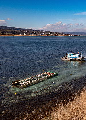Blick Richtung Schweizer Ufer, Strömungsschild um den Einbaum, hinten NABU-Arbeitsboot Netta