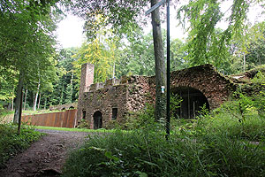 Ruinen des Schlosses Karlsberg, aktueller Zustand. Foto: kulturer.be