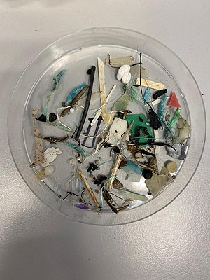 Aus dem Meer gefischter Plastikmüll. Foto: Alfred-Wegener-Institut / Melanie Bergmann