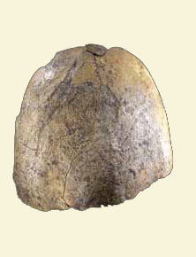Schädelkalotte eines Neandertalers