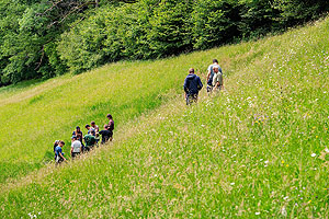 Die Auszubildenden untersuchen die Wiese von Landwirt Franz Schätzle in Elzach-Yach. Foto: Naturpark Südschwarzwald e. V.;