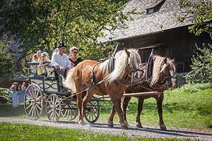Kutschfahrt durch das Museumsgelände